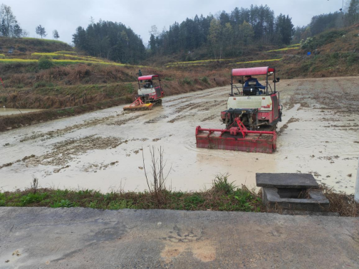 AG��˾(�й�����)�����޹�˾����